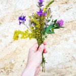 Juhannuksen kasvi-godfulnessia