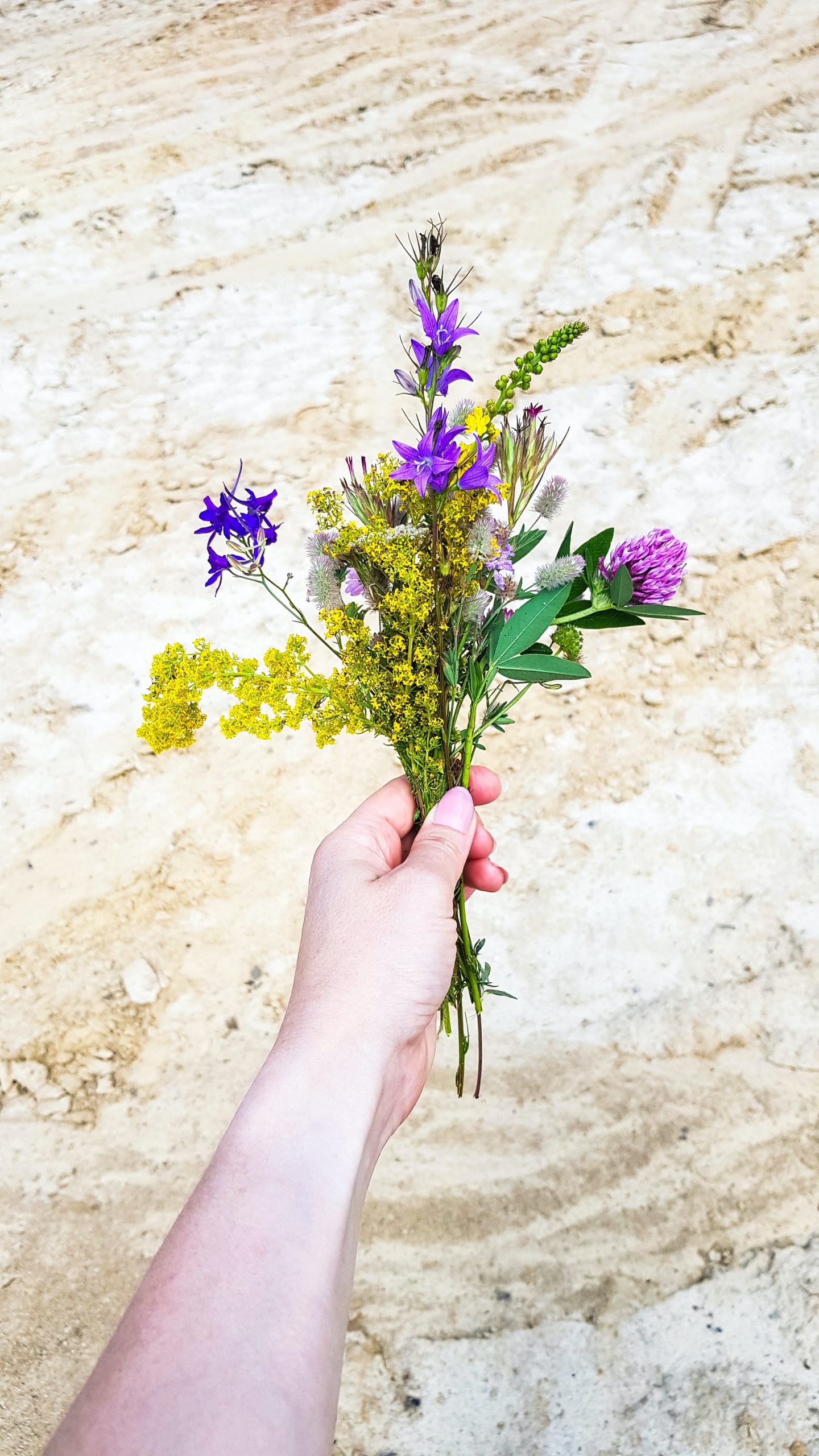 Käsi, jossa on eri ketokukista kimppu