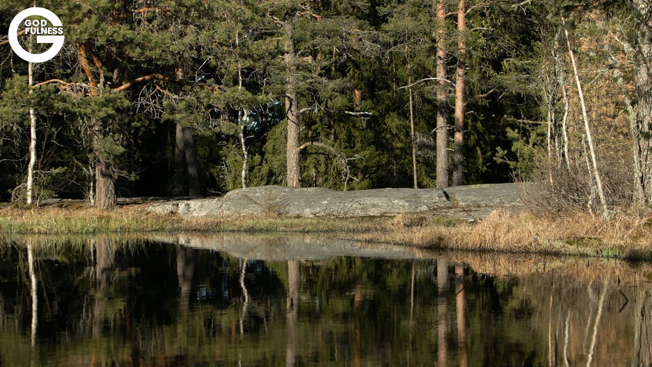 Näkökulman muuttaminen