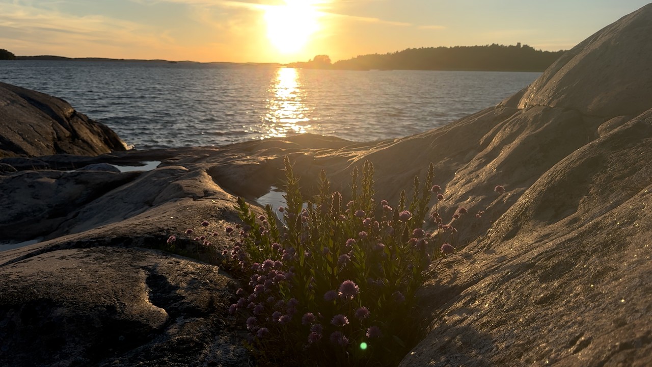 Heinäkuun hetkissä